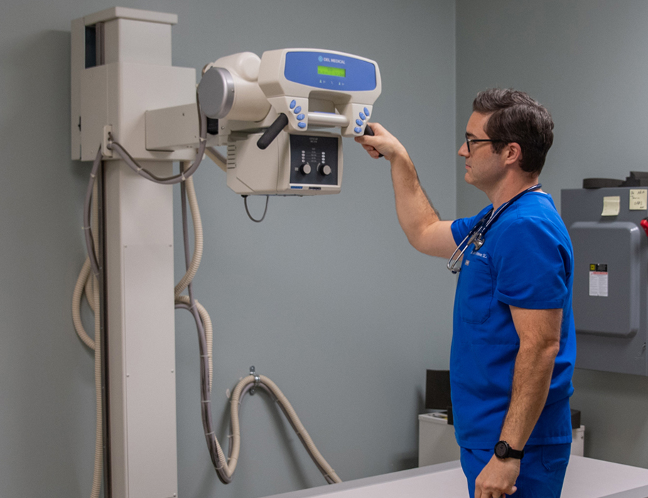 medical clinic services